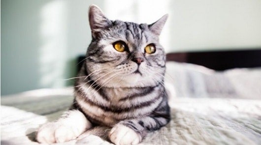 Foto: Archivo/ NoticiasRCN.com