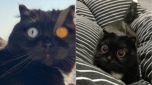 FOTO: Tomada Instagram @milkyblvck