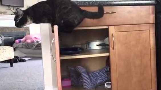 El video suma miles de visitas en Youtube.