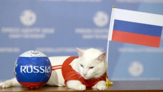 Foto: Olga Maltseva / AFP
