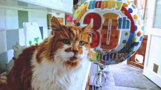 Foto: Tomada de Twitter