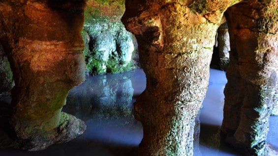 Foto. Martín Araújo