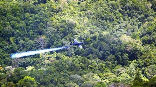 La OMS relaciona al glifosato con el cáncer. Foto: AFP.