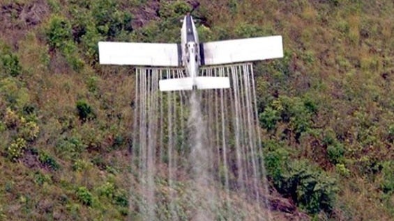 Foto: archivo NoticiasRCN.com