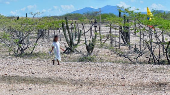 Los ministerios y la alcaldía tienen dos meses de plazo para iniciar las obras. Foto: AFP