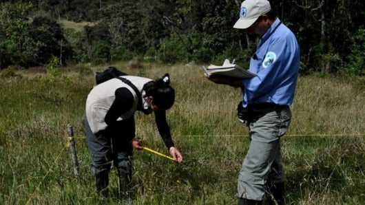Foto: Para el programa, están habilitadas 30 de las 56 áreas protegidas en el país. Foto: Parques Nacionales.