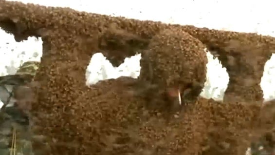 Para realizar la hazaña se requirieron varias horas.