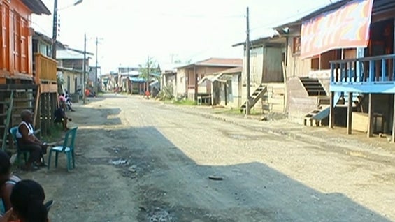 El cultivo de hoja de coca aumentó en más de 50 hectáreas. Foto: NoticiasRCN.com