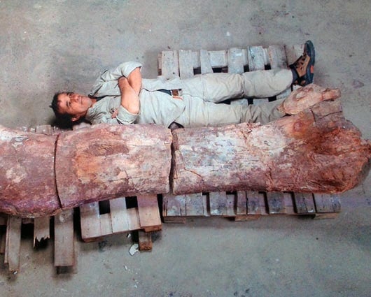 El descubrimiento se hizo hace cerca de tres meses. Foto: AFP