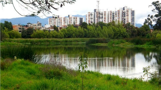 Foto: @humedalesbogota (Twitter).