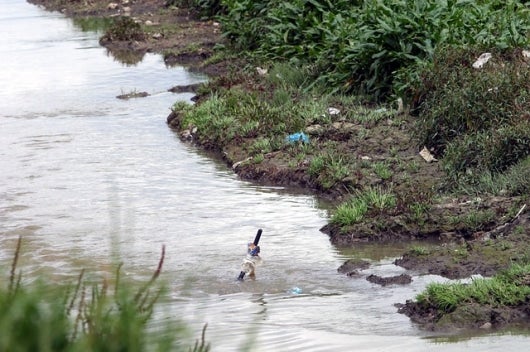 Humedal Gualí, Funza, Cundinamarca. Foto: La F.M.