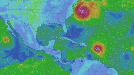 Foto: captura de pantalla.