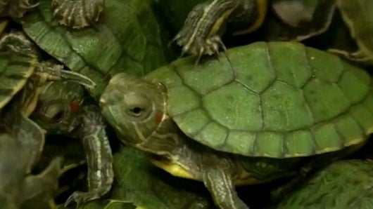 Foto: NoticiasRCN.com