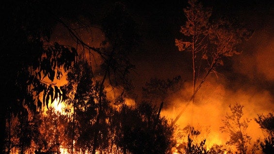 El pasado viernes fue declarado el estado de emergencia en California. Foto: AFP.