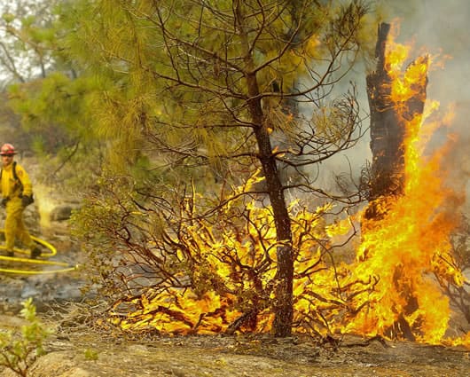 Más de 2.000 bomberos trabajan para controlar las llamas. Foto: EFE
