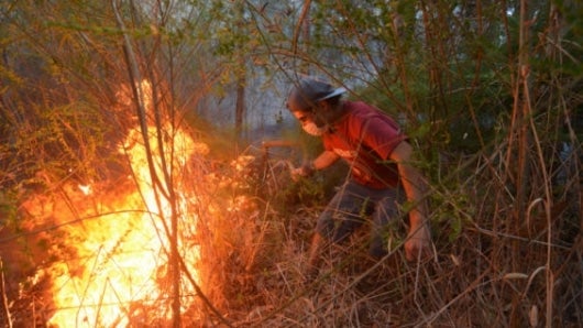 En Chile, más del 99% de los incendios son causados por negligencia. AFP