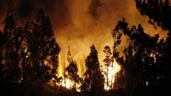 El gigante incendio forestal inició la tarde del viernes. Foto: EFE.