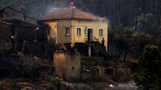 Incendio forestal deja más de 60 muertos en Portugal | Noticias RCN