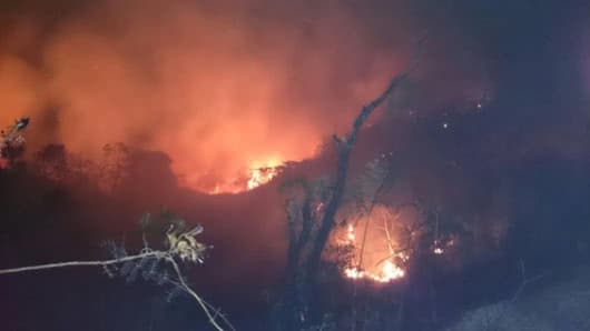 Hasta el momento, 80.000 hectáreas de terreno han sido abrasadas. Foto: EFE