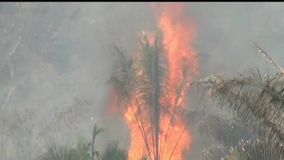 El incendio ya a acabado con la vegetación de 40 hectáreas. Foto: NoticiasRCN.com