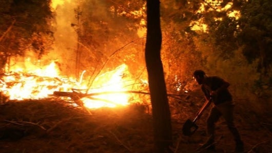 Más de 4.000 socorristas combaten las llamas en siete regiones. Foto: EFE