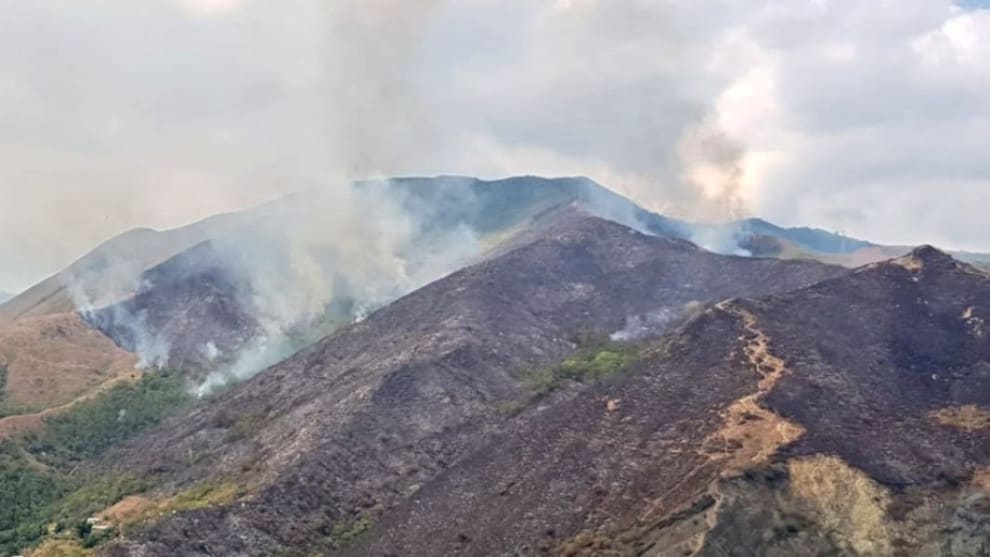 El incendio ha consumido cientos de hectáreas de vegetación. Foto: Ungrd Cali