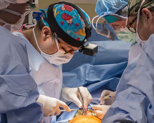 El mal procedimiento médico dejó a la niña con daños irreversibles. Foto: AFP