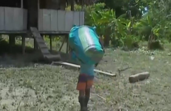 556 indígenas volvieron a su territorio Foto: Noticias RCN