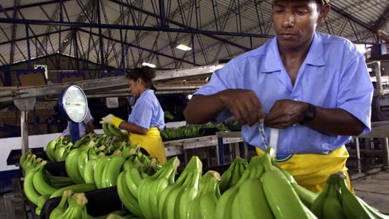 Foto: archivo NoticiasRCN.com