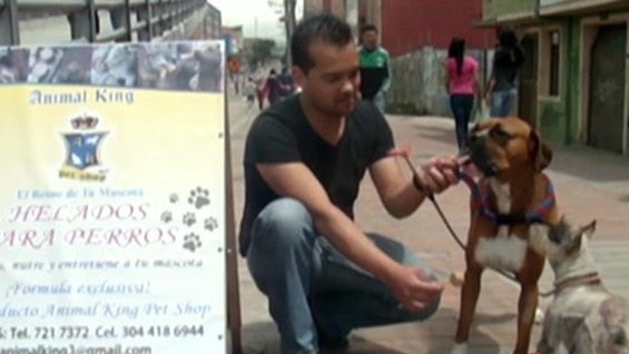 Los helados tienen un aporte nutricional además de hidratar a los perros. Foto: Noticias RCN