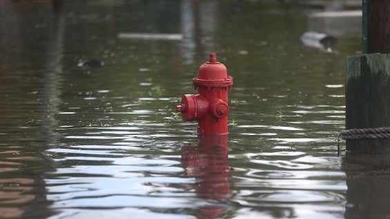 Imagen referencia. Foto: AFP.