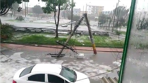 Árboles y postes de la luz caídos en la localidad de Engativá, en el occidente de Bogotá, generaron pánico entre los conductores que pasaban por el lugar. Foto: NoticiasRCN