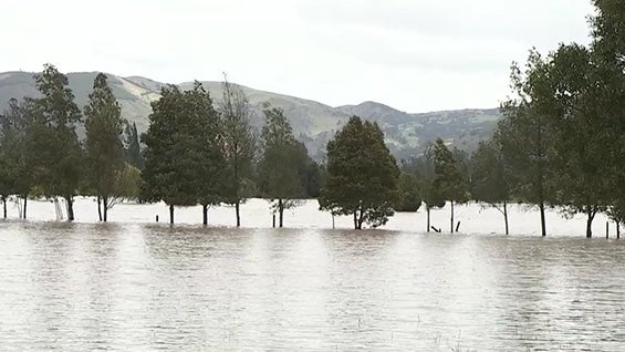 Aproximadamente 40 familias resultaron afectadas por las inundaciones. Foto: Noticias RCN.