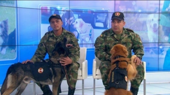 Foto: Alberto Rico / NoticiasRCN.com