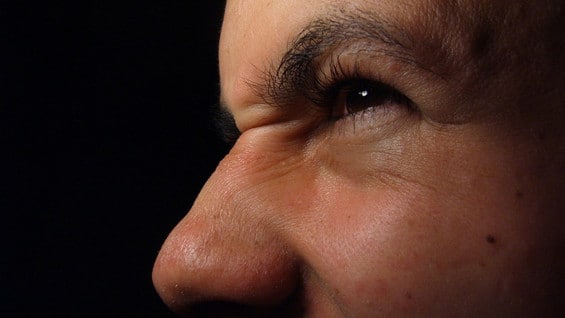 Aunque el experimento se realizó con hormigas las conclusiones pueden aplicarse también a los humanos . Freeimages