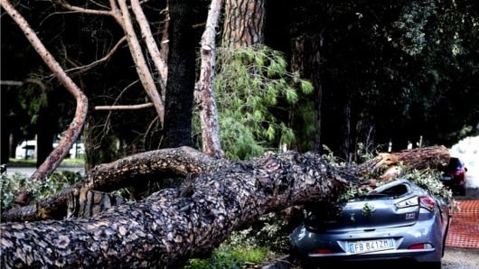 Foto: ANGELO CARCONI/ EFE