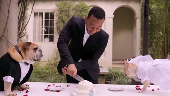 John Legend interpretó su canción 'All Of Me' en la boda de Puddy y Pippa.