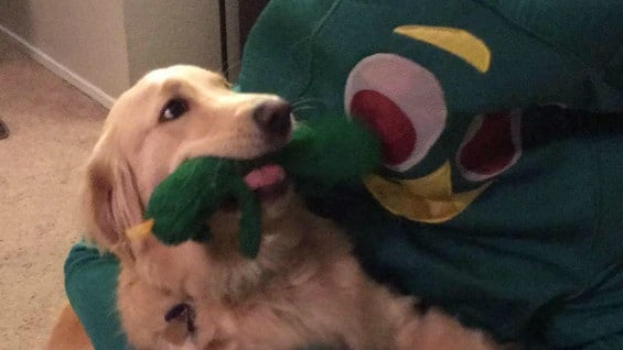 Foto: @emily.crisp.9 (Facebook).