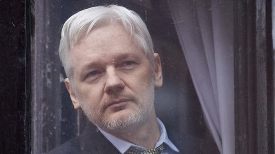 Julian Assange, fundador de WikiLeaks. Foto: AFP.