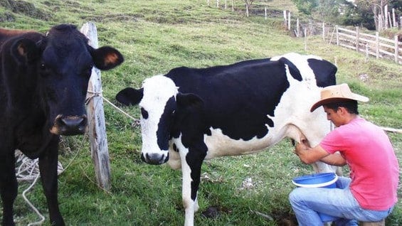 Foto: @RonaldSanabriaQ