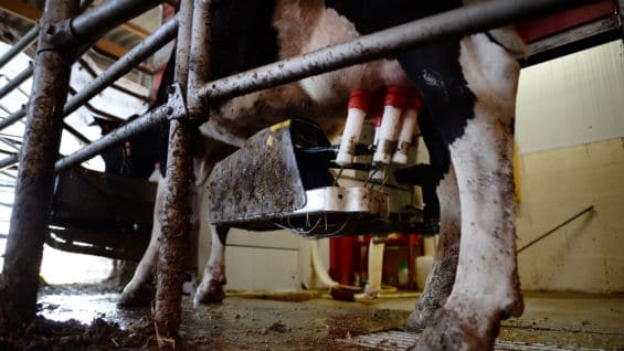 El incremento para los hogares está relacionado con el fenómeno del Niño. Foto: AFP