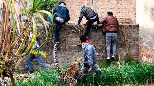 Foto: NoticiasRCN.com