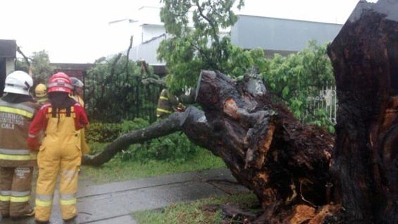 Usuarios en Twitter reportaron a través de imágenes la emergencia.