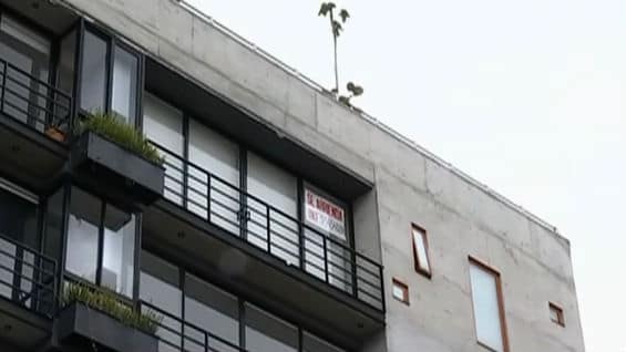 Otros habitantes del sector, insisten haber escuchado gritos en el apartamento de Uribe Noguera. Foto: NoticiasRCN