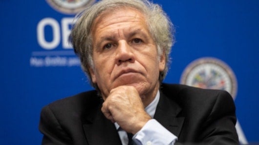 Luis Almagro, secretario general de la OEA. Foto: AFP