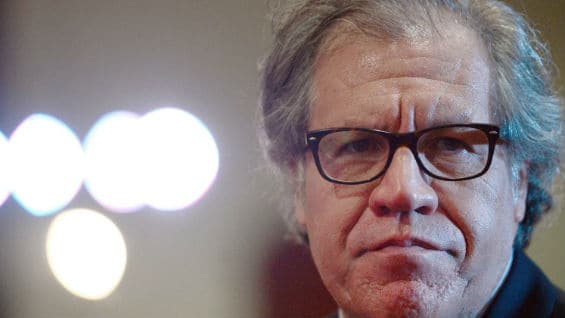 Luis Almagro, secretario general de la OEA. Foto AFP