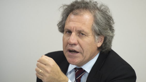 Luis Almagro, secretario general de la OEA. Foto: AFP.