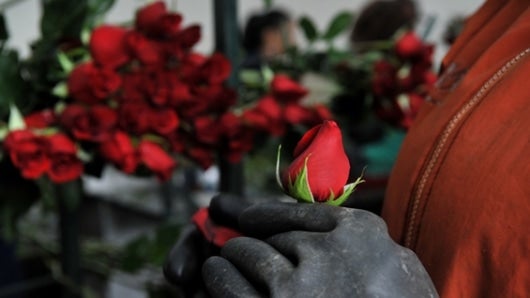 Día de la Madre: según Fenalco, los regalos más comprados son ropa, zapatos, flores y tecnología