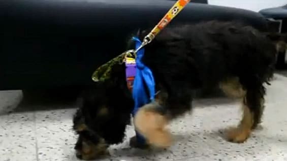 Foto: NoticiasRCN.com