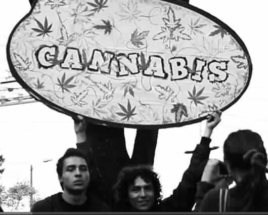 Durante la jornada harán una “fumatón de la hierba”. Foto: facebook